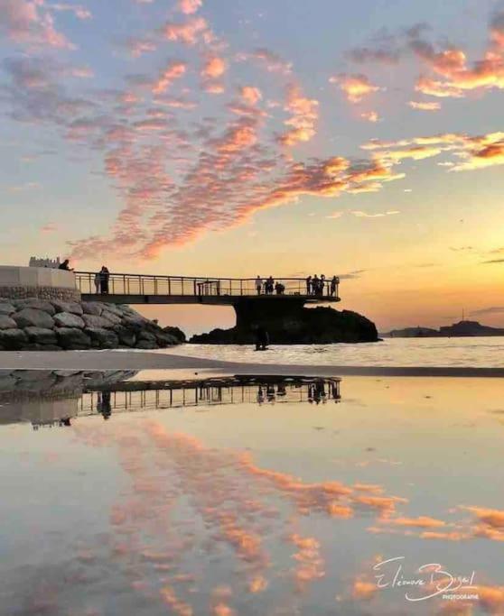 Plage Des Catalans/Vieux Port Marseille Eksteriør billede
